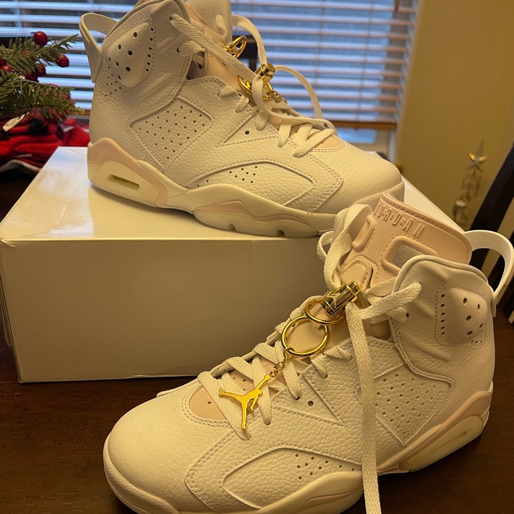 Air Jordan 6 - Gold Rings